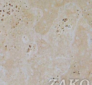 Travertino Romano Light jasno-beżowy. Trawertyny