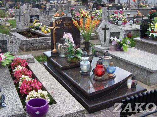 image_541